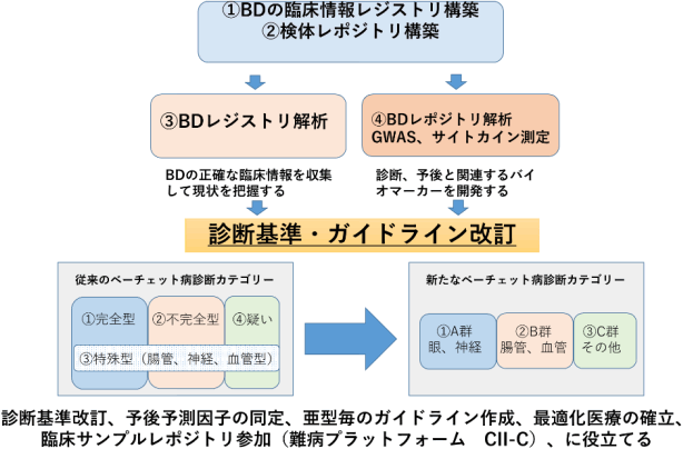 ベーチェット病のレジストリ解析
